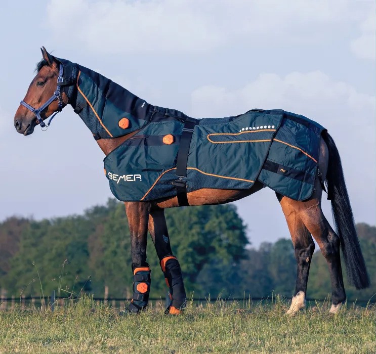 Magnetische microcirculatie-therapie voor paarden